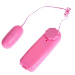 Kumandalı Yumurta Vibratör